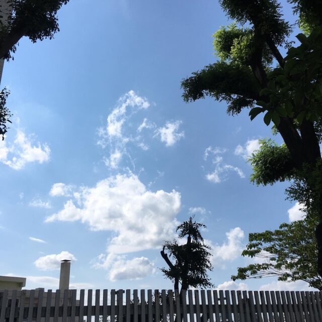今日はお天気が晴れて気持ちよかったので、サイクリングしながら街中を探索。
ふと見上げた青空が綺麗でした(^^)

明日は、10時〜22時でドロップイン開催します‼︎

【ドロップイン利用料金】
〜1時間　550円
〜2時間　990円
2時間を超えて〜営業終了まで　1,480円
※全て税込

※ドロップインは不定期開催

▫️和の雰囲気を残した
　小さな小さなコワーキングスペース▫️

東武東上線大山駅より徒歩17分
有楽町線千川駅より徒歩9分
池袋より国際興業バス
水道タンク裏バス停より徒歩1分
お問い合わせ・ご見学はDM、HPまで

Twitter → https://mobile.twitter.com/takeanap_jp/
HP → https://mmpr.co.jp/solution4/

#板橋区
#豊島区
#千川駅
#大山駅
#小竹向原駅
#要町駅
#テイクアナップ
#TAKEANAP
#コワーキングスペース
#シェアオフィス
#イベントスペース
#ワークスペース
#コミュニティスペース
#自習室
#畳
#畳の部屋
#カフェ
#コーヒー 
#和カフェ 
#japaneseculture