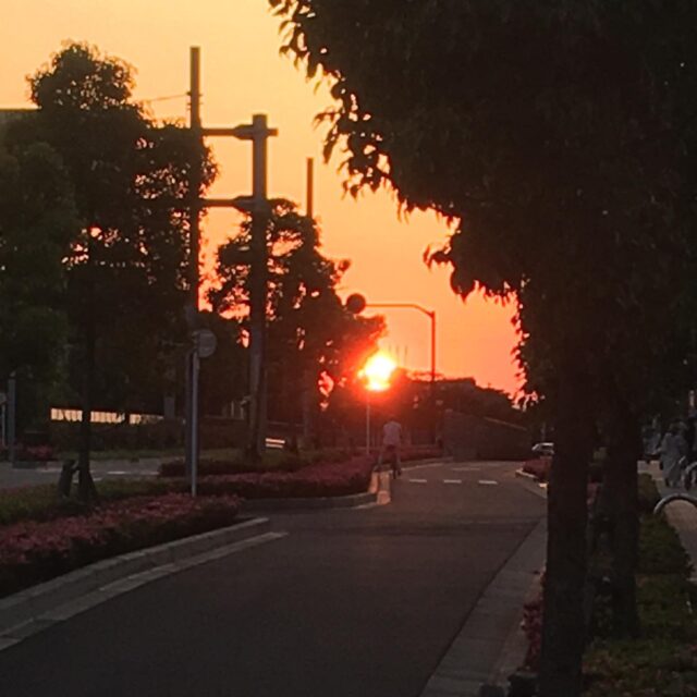 昨日はとても暑かったですね💦
今日も暑くなりそうなので熱中症には気をつけましょ〜

本日は、22時までドロップイン開催してます！
　
【ドロップイン利用料金】
〜1時間　550円
〜2時間　990円
2時間を超えて〜営業終了まで　1,480円
※全て税込

※ドロップインは不定期開催

▫️和の雰囲気を残した
　小さな小さなコワーキングスペース▫️

東武東上線大山駅より徒歩17分
有楽町線千川駅より徒歩9分
池袋西口より国際興業バス
水道タンク裏バス停より徒歩1分
お問い合わせ・ご見学はDM、HPまで

Twitter → https://mobile.twitter.com/takeanap_jp/
HP → https://mmpr.co.jp/solution4/

#板橋区
#豊島区
#千川駅
#大山駅
#小竹向原駅
#要町駅
#テイクアナップ
#TAKEANAP
#コワーキングスペース
#シェアオフィス
#イベントスペース
#ワークスペース
#コミュニティスペース
#自習室
#畳
#畳の部屋
#カフェ
#コーヒー 
#和カフェ 
#japaneseculture
