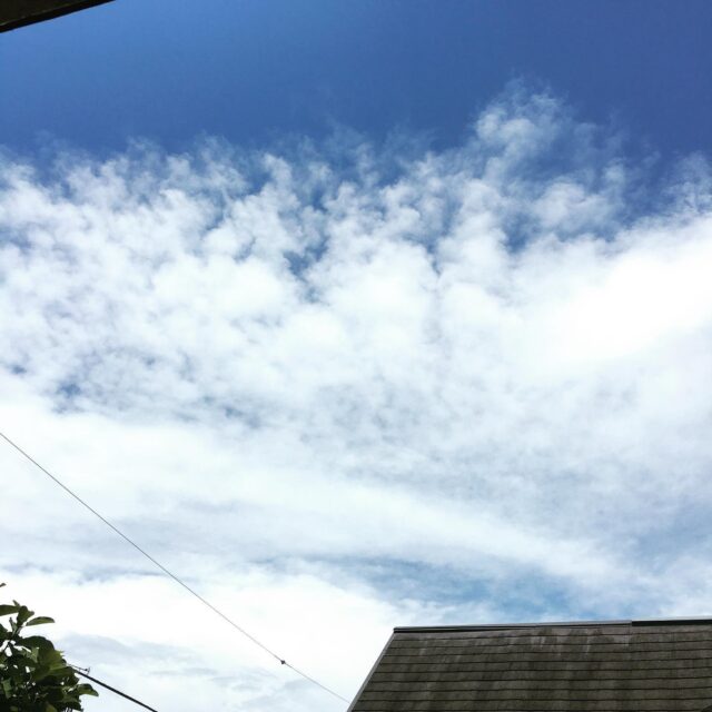今日も真夏日🌞梅雨は何処へ…
水分しっかり摂って、適度に休憩しながら作業しよーっと。

本日26日は、20時までドロップイン開催してます！

【ドロップイン利用料金】
〜1時間　550円
〜2時間　990円
2時間を超えて〜営業終了まで　1,480円
※全て税込

▫️和の雰囲気を残した
　　️小さな小さなコワーキングスペース▫️

東武東上線大山駅より徒歩18分
有楽町線千川駅より徒歩9分
池袋駅西口より国際興業バス
水道タンク裏バス停より徒歩1分
お問い合わせ・ご見学はDM、HPまで

Twitter → https://mobile.twitter.com/takeanap_jp/
HP → https://mmpr.co.jp/solution4/

#板橋区
#豊島区
#千川駅
#大山駅
#小竹向原駅
#要町駅
#テイクアナップ
#TAKEANAP
#コワーキングスペース
#シェアオフィス
#イベントスペース
#ワークスペース
#コミュニティスペース
#自習室
#畳
#畳の部屋
#カフェ
#コーヒー 
#和カフェ 
#japaneseculture