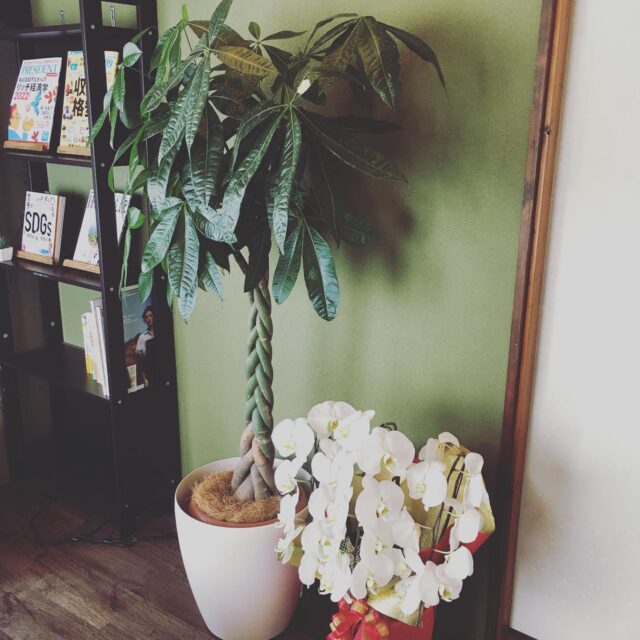 今日は、晴れて気持ちがいい風が吹いています😌
作業に疲れたら、体勢を変えて休憩するのもよし、ベランダに出て風にあたるのもいいものです。

本日2日は、20時までドロップイン開催中♪

⭐︎ドロップイン利用料金⭐︎
〜1時間　550円
〜2時間　990円
2時間を超えて〜営業終了まで　1,480円
※全て税込

※ドロップインは不定期開催

▫️和の雰囲気を残した
　小さな小さなコワーキングスペース▫️

東武東上線大山駅より徒歩17分
有楽町線千川駅から徒歩9分
池袋より国際興業バス
水道タンク裏バス停より徒歩1分
お問い合わせ・ご見学はDM、HPまで

Twitter → https://mobile.twitter.com/takeanap_jp/
HP → https://mmpr.co.jp/solution4/

#板橋区
#豊島区
#千川駅
#大山駅
#小竹向原駅
#要町駅
#テイクアナップ
#TAKEANAP
#コワーキングスペース
#シェアオフィス
#イベントスペース
#ワークスペース
#コミュニティスペース
#自習室
#畳
#畳の部屋
#カフェ
#コーヒー 
#和カフェ 
#japaneseculture