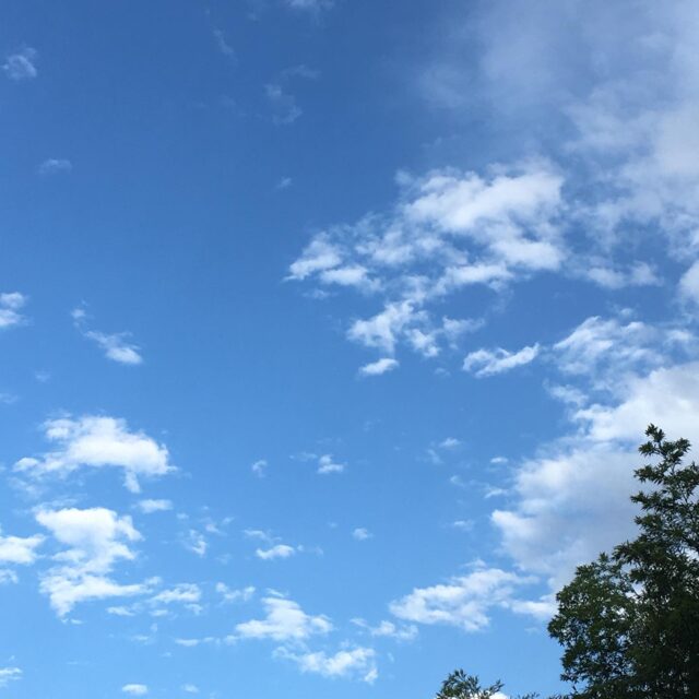 おはようございます！
夜中に雨風が強かったんだなぁと
感じるものの空には晴れ間が😳
今日はお天気が変わりやすいので、
気をつけて過ごしましょう！

本日13日は、10〜20時までドロップイン開催予定です。天候次第では急遽、変更になる場合がありますのでご了承ください。

【ドロップイン利用料金】
〜1時間　550円
〜2時間　990円
2時間を超えて〜営業終了まで　1,480円
※全て税込

▫️和の雰囲気を残した
　　️小さな小さなコワーキングスペース▫️

東武東上線大山駅より徒歩18分
有楽町線千川駅より徒歩9分
池袋駅西口より国際興業バス
『水道タンク裏』下車より徒歩1分
お問い合わせ・ご見学はDM、HPまで

Twitter → https://mobile.twitter.com/takeanap_jp/
HP → https://takeanap.jp/

#板橋区
#豊島区
#千川駅
#大山駅
#小竹向原駅
#要町駅
#テイクアナップ
#TAKEANAP
#コワーキングスペース
#シェアオフィス
#イベントスペース
#ワークスペース
#コミュニティスペース
#自習室
#畳
#畳の部屋
#カフェ
#コーヒー
#和カフェ
#japaneseculture