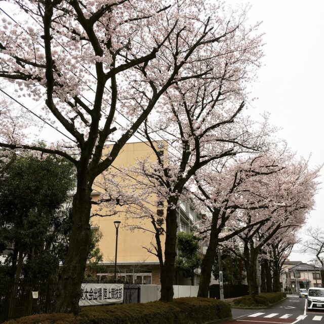 千川駅からいらっしゃる方に
今はちょっと遠回りして
板橋高校前の道からお散歩がおすすめ

千川上水跡の桜並木が満開です🌸

ちょうど桜並木が終わるところにいらっしゃるお地蔵さんの脇道を右に入り右へ真っ直ぐ進むとテイクアナップがあります🐶

本日は
ドロップイン・お試し開放日🪟

⭐︎ドロップイン利用料金⭐︎
〜1時間550円
〜2時間990円
2時間を超えて〜営業終了まで　1,480円
※全て税込

🌸プレオープンキャンペーン中🌸
　30分＋コーヒー1杯無料でお試し

⭐︎営業時間⭐︎
OPEN〜17時まで

※プレオープン中の為、一部
　利用出来ない設備があります🚧
※ドロップインは不定期開催

和の雰囲気も残した
小さな小さなコワーキングスペース

有楽町線千川駅から徒歩7分
池袋より国際興業バス
水道タンク裏バス停より徒歩1分
3/14〜ドロップイン開催中(不定休)
お問い合わせ・ご見学はDM、HPまで

Twitter → https://mobile.twitter.com/takeanap_jp/
HP → https://mmpr.co.jp/solution4/

#板橋区
#豊島区
#千川駅
#大山駅
#小竹向原駅
#要町駅
#テイクアナップ
#TAKEANAP
#コワーキングスペース
#シェアオフィス
#イベントスペース
#ワークスペース
#コミュニティスペース
#自習室
#畳
#畳の部屋
#古民家
#古民家リノベーション
#古民家再生
#古民家ワークスペース